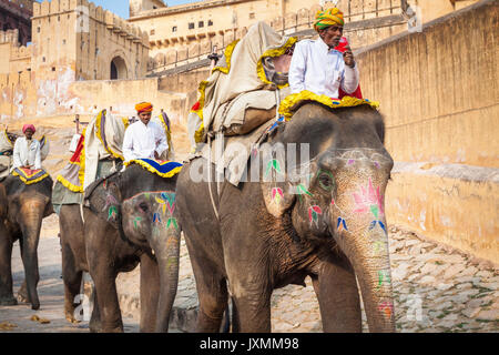 JAIPUR, INDIA - JANUARY 28, 2017: Unidentified men ride decorated elephants in Jaleb Chowk in Amber Fort in Jaipur, India. Elephant rides are popular  Stock Photo