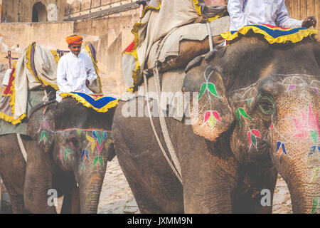 JAIPUR, INDIA - JANUARY 28, 2017: Unidentified men ride decorated elephants in Jaleb Chowk in Amber Fort in Jaipur, India. Elephant rides are popular  Stock Photo