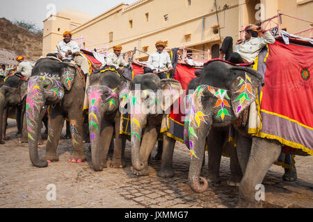 JAIPUR, INDIA - JANUARY 28, 2017: Unidentified men ride decorated elephants in Jaleb Chowk in Amber Fort in Jaipur, India. Elephant rides are popular  Stock Photo