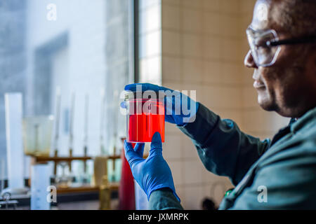 Lab technician looking at beaker of red biofuel in biofuel plant laboratory Stock Photo