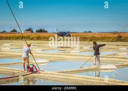 NOIRMOUTIER, FRANCE - July 03, 2017 : Two men harvest salt in the traditional way in the salt marshes of Noirmoutier, france Stock Photo