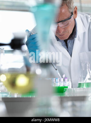 Scientist pipetting samples into eppendorf tubes for testing during an experiment in the laboratory Stock Photo