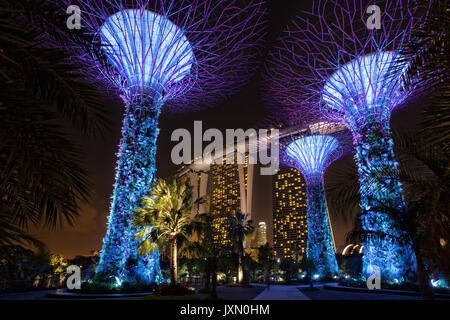 Futuristic supertrees at Gardens by the bay park with Marina bay Sands in background, Singapore Stock Photo
