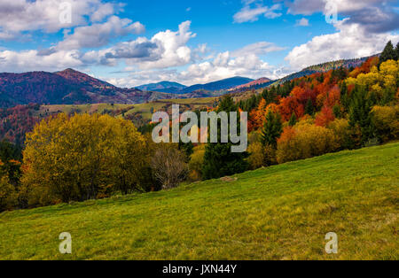 mountains with colorful foliage forest. great autumnal landscape in fine weather and clouds on blue sky Stock Photo