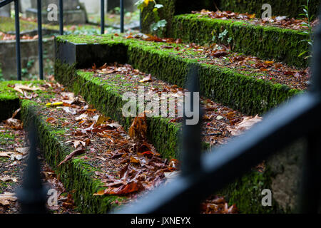 Old stone stairs covered with moss Stock Photo