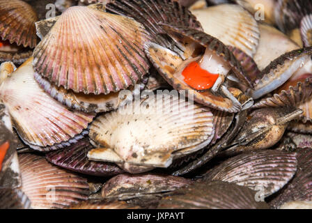 Seafood - Scallops - Two Types Of Meat In One Shell Stock Photo