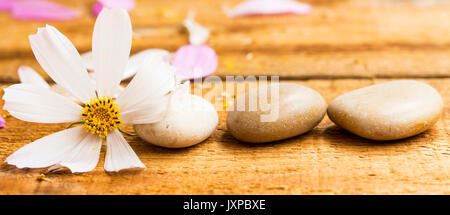 Spa still life composition with massage stones and white flower on wooden board Stock Photo