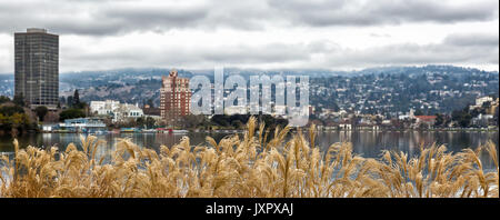 Oakland California, view across Lake Merritt of shoreline buildings and East Bay hills in the background. Dried plants in the foreground. Heavy clouds Stock Photo