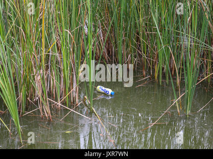 A Yazoo milkshake bottle floats in dirty looking water of a lake in Penn, High Wycombe, England on 16 August 2017. Photo by Andy Rowland. Stock Photo