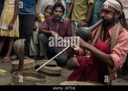 (170817) -- KHEDAITALA, Aug. 17, 2017 (Xinhua) -- An Indian snake charmer attracts a snake during the festival of the Hindu snake goddess 'Manasha' at Khedaitala, some 75 kms north of Kolkata, capital of eastern Indian state West Bengal, Aug. 17, 2017. Many  snake charmers and villagers attended this traditional festival to worship the goddess on Thursday. (Xinhua/Tumpa Mondal)  (gl) Stock Photo