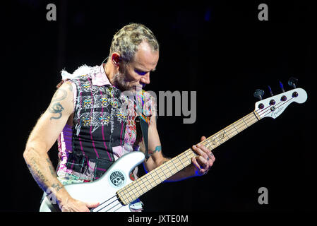 BENICASSIM, SPAIN - JUL 15: Flea, bass guitar player of Red Hot Chili Peppers (music band), performs in concert at FIB Festival on July 15, 2017. Stock Photo