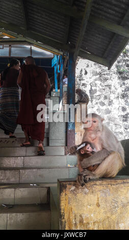 Mount Popa - Myanmar Stock Photo