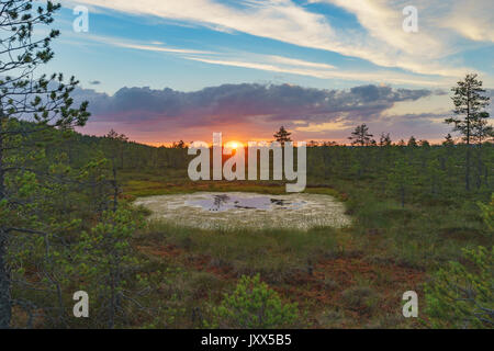 Setting sun over Suru Suursoo bog, Harju county, Estonia Stock Photo