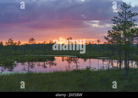 Wonderful sunset with colorful clouds over Suru Suursoo bog, Harju county, Estonia Stock Photo