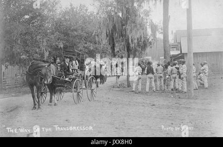 A group of African American male laborers in striped prison uniforms stand by a dirt road, on which plainly dressed Caucasian men drive horse-carried wagons in a rural American town, 1908. Stock Photo