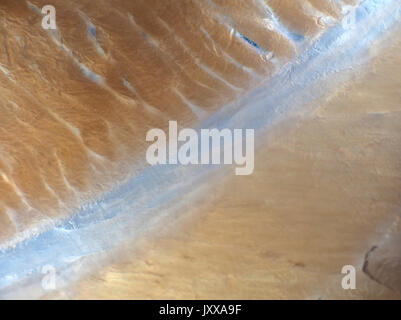Slice of honey maple ham, light micrograph, magnification is 12x when printed 10cm wide Stock Photo