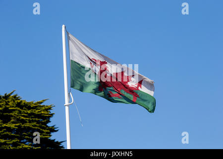 Welsh Flag fluttering in the breeze Stock Photo