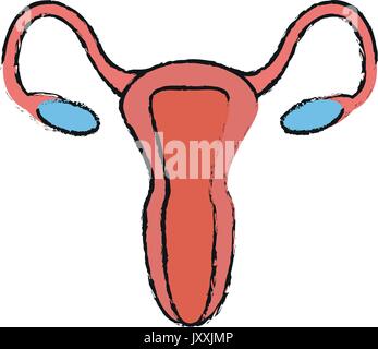 cartoon happy uterus Stock Vector Art & Illustration, Vector Image