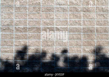 Old weathered brick wall featuring plant shadows at the base - texture or background Stock Photo