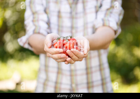 Young agronomist in plaid shirt with cherry tomatoes in hands Stock Photo