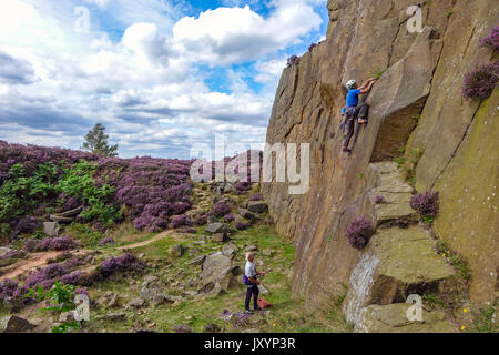 Rock climber in Millstone Quarry with purple heather, Peak District, Derbyshire Stock Photo