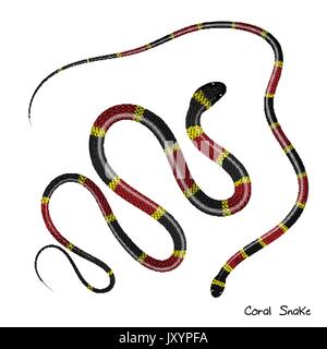 Coral or milk snake top view icon. Creeping scarlet kingsnake flat vector isolated on white background Stock Vector