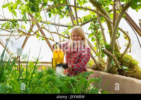 Caucasian woman watering garden in greenhouse Stock Photo