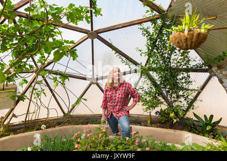 Caucasian woman looking up at hanging plant in greenhouse Stock Photo