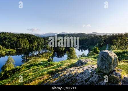 Tarn Hows and the Langdales in the English Lake District in Cumbria Stock Photo