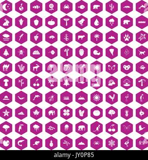 100 nature icons hexagon violet Stock Vector