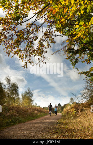 Autumnal Walks. Pictures taken on the route of Sherwood Forest trail by Christopher Somerville starting and finishing at the Major Oak and taking in t Stock Photo