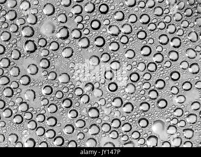 Water droplets in an enclosed space background. Stock Photo
