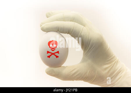 Isolated egg under investigation beig examined with surgical gloves with a poison dangerous symbol painted over. Concept image for food contamination  Stock Photo