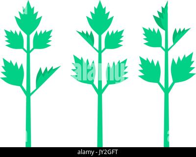 celery leaves on white background Stock Vector