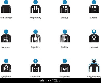 Medical infographic duotone icons on white background. Stock Vector