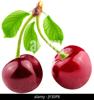 Isolated cherries. Two sweet cherries with leaf isolated on white background with clipping path as package design element. Stock Photo