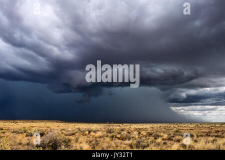 Heavy monsoon thunderstorm with dark storm clouds and rain near Winslow, Arizona Stock Photo