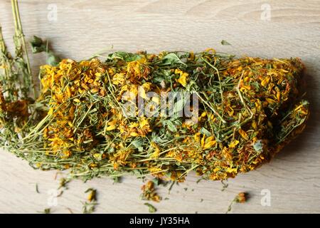 Dried hypericum perforatum herbs Stock Photo