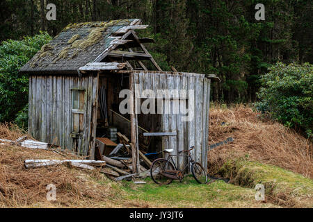 Old rotten shed with a rusty bike Stock Photo: 154359295 