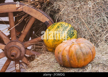 Rustic vintage autumn, fall background with ripe large ribbed pumpkins on straw near wooden wheel of cart, vintage halftones Stock Photo