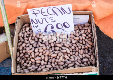 A box of Pecan nuts for sale at a Farmers Market on a sunny day in Summer. Raw nuts with hand written sign. Stock Photo