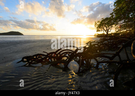 Myall Beach at sunrise, Cape Tribulation, Daintree National Park, Far North Queensland, FNQ, QLD, Australia Stock Photo