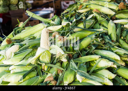 Large pile of fresh white corn in the husks at a California Farmers Market fruit stand. Stock Photo