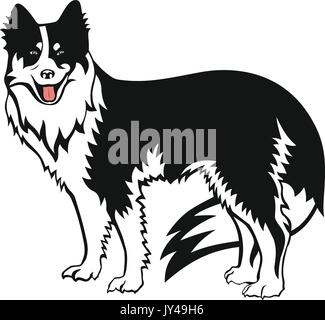 Border Collie Breed Standing Alpha Dog Vector Illustration Stock Vector