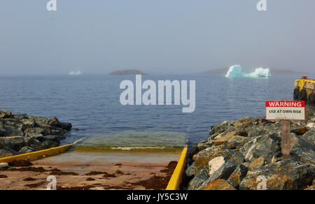 Warning sign and icebergs in summer mist, St. Lunaire-Griquet at the northern tip of the Great Northern Peninsula, Newfoundland, Canada Stock Photo