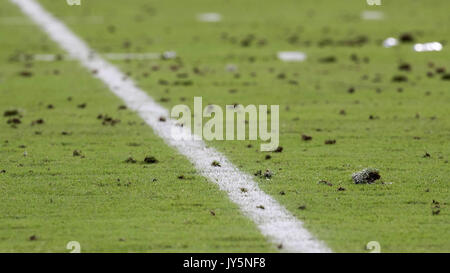 Miami Gardens, Florida, USA. 18th Aug, 2017. It was a tough night for the Hard Rock Stadium turf. Credit: Handout/The Palm Beach Post/ZUMA Wire/Alamy Live News Stock Photo