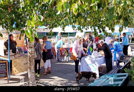 Arundel West Sussex, UK. 19th Aug, 2017. A beautiful sunny morning for the start of Arundel Festival today with temperatures forecast to reach 21 degrees in some parts of the Britain today Credit: Simon Dack/Alamy Live News Stock Photo