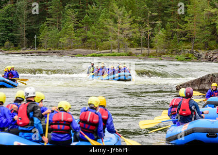 Byglandsfjord, Norway - August 1, 2017: Travel documentary of rafting group having an adventure on the river. Nature in background. Other rafters in f Stock Photo