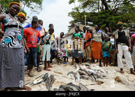 SIERRA LEONE, Tombo, fish market, food security and the livelihood of small scale coast fisherman are affected by Overfishing of the seas by international big trawler fleet Stock Photo