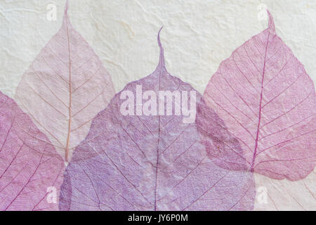 japanese handmade paper with violet leaves pattern Stock Photo